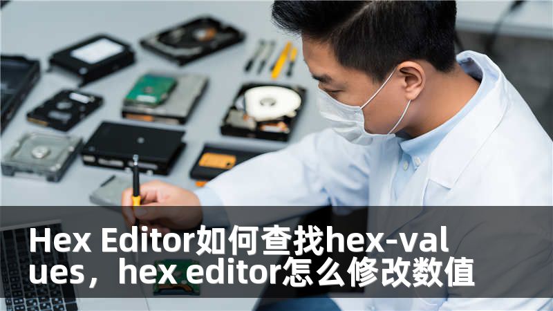 Hex Editor如何查找hex-values，hex editor怎么修改数值