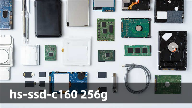 hs-ssd-c160 256g