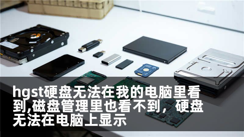 hgst硬盘无法在我的电脑里看到,磁盘管理里也看不到，硬盘无法在电脑上显示