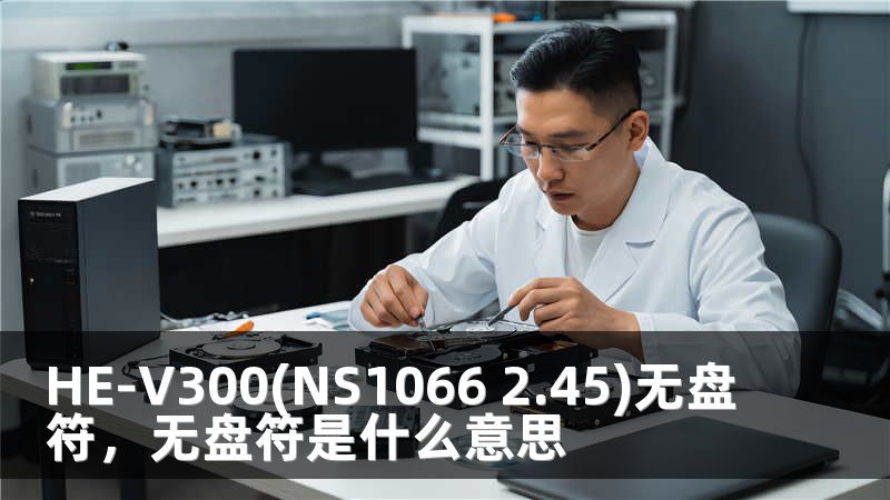 HE-V300(NS1066 2.45)无盘符，无盘符是什么意思