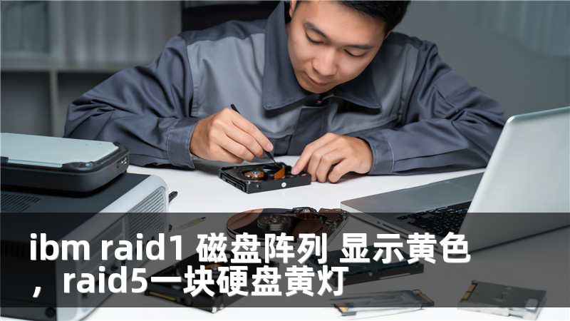 ibm raid1 磁盘阵列 显示黄色，raid5一块硬盘黄灯