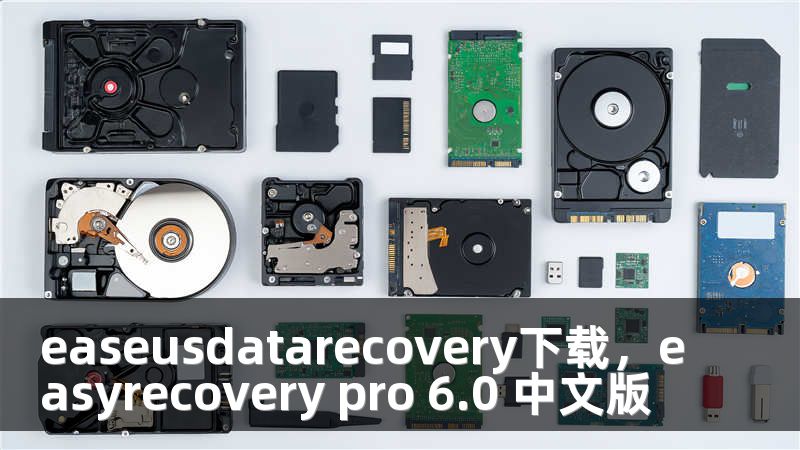 easeusdatarecovery下载，easyrecovery pro 6.0 中文版