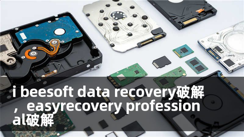 i beesoft data recovery破解，easyrecovery professional破解