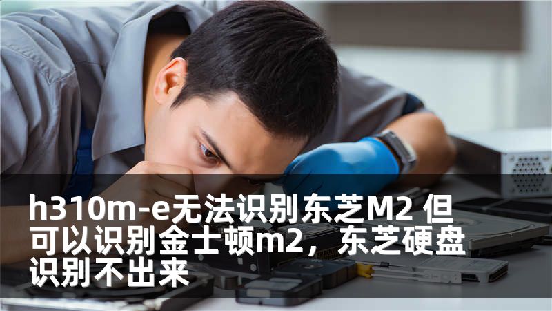 h310m-e无法识别东芝M2 但可以识别金士顿m2，东芝硬盘识别不出来