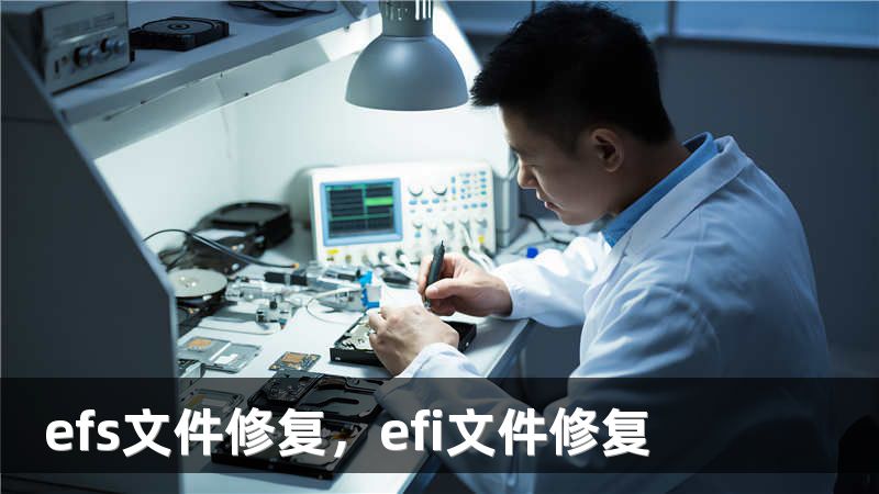 efs文件修复，efi文件修复