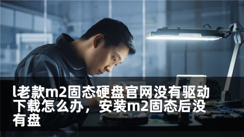 l老款m2固态硬盘官网没有驱动下载怎么办，安装m2固态后没有盘