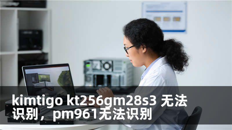 kimtigo kt256gm28s3 无法识别，pm961无法识别