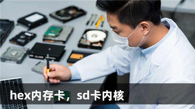 hex内存卡，sd卡内核