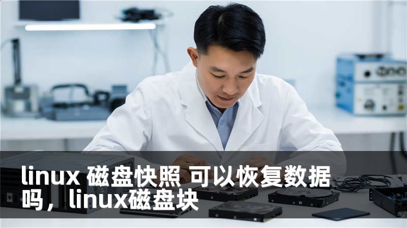 linux 磁盘快照 可以恢复数据吗，linux磁盘块