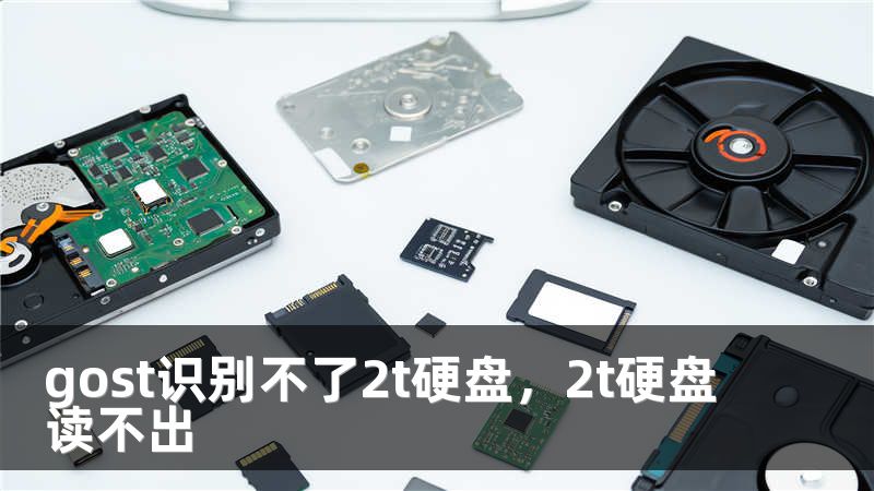 gost识别不了2t硬盘，2t硬盘读不出