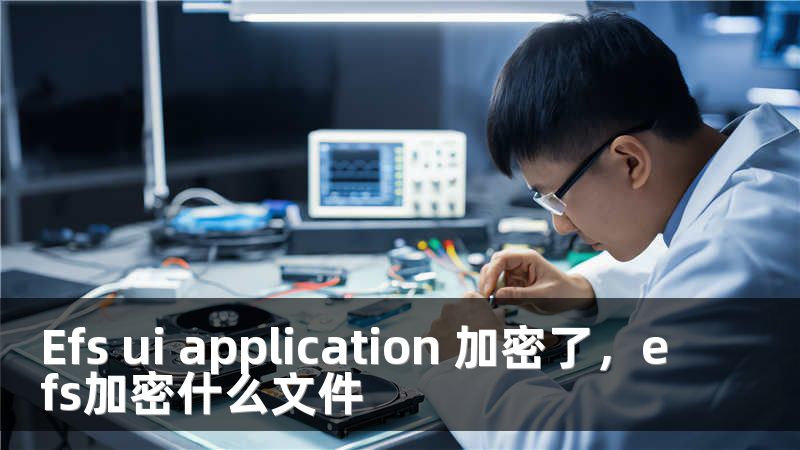 Efs ui application 加密了，efs加密什么文件
