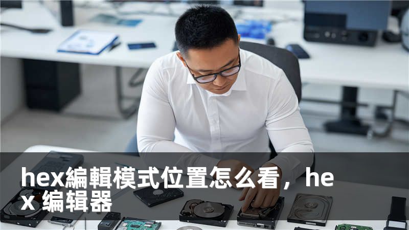 hex編輯模式位置怎么看，hex 编辑器