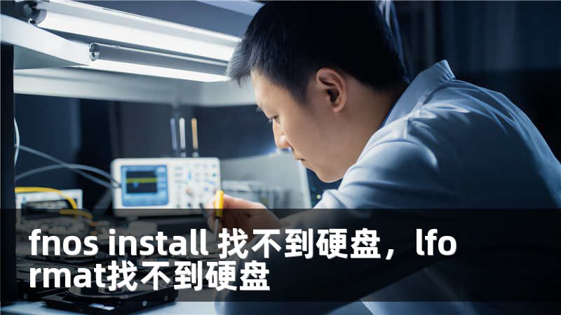 fnos install 找不到硬盘，lformat找不到硬盘