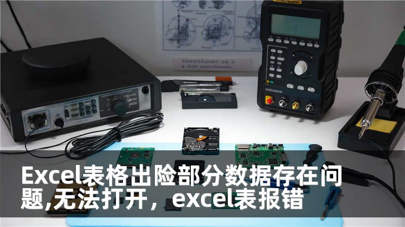 Excel表格出险部分数据存在问题,无法打开，excel表报错