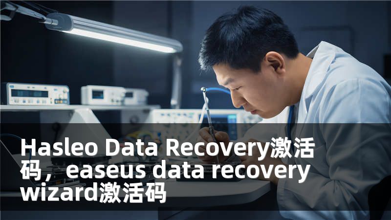 Hasleo Data Recovery激活码，easeus data recovery wizard激活码