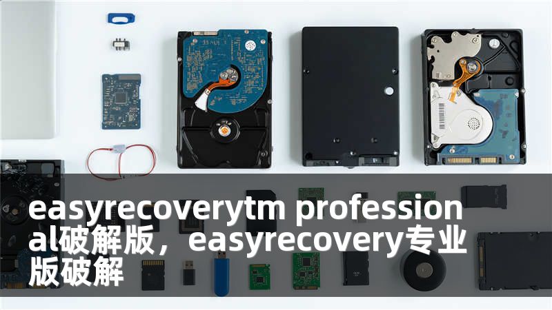 easyrecoverytm professional破解版，easyrecovery专业版破解