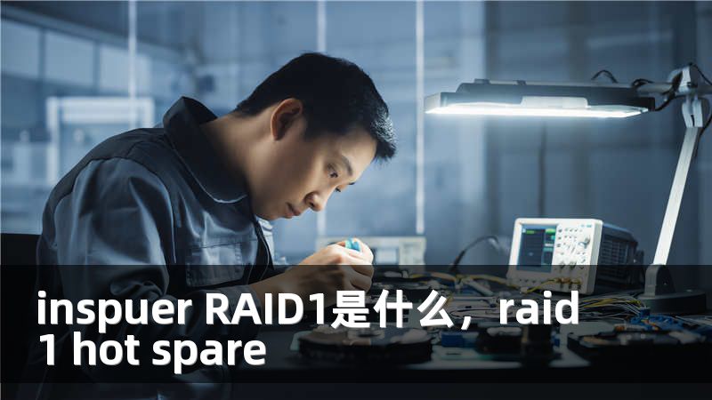 inspuer RAID1是什么，raid1 hot spare
