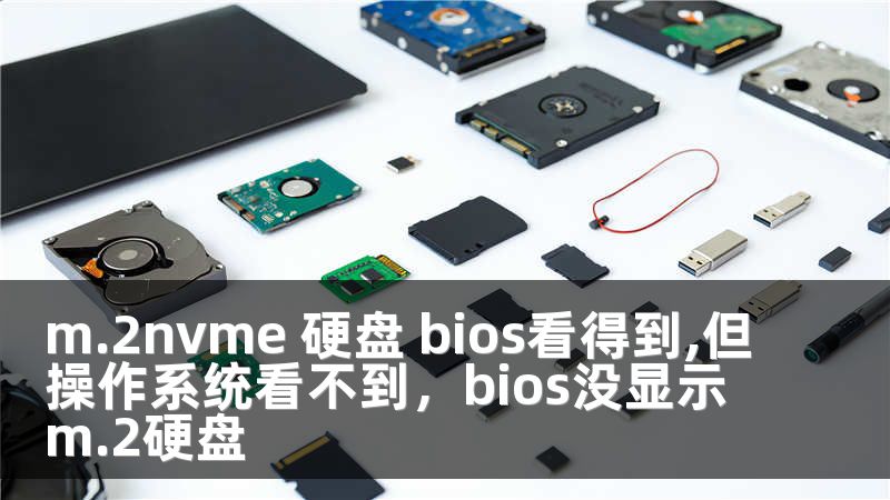m.2nvme 硬盘 bios看得到,但操作系统看不到，bios没显示m.2硬盘