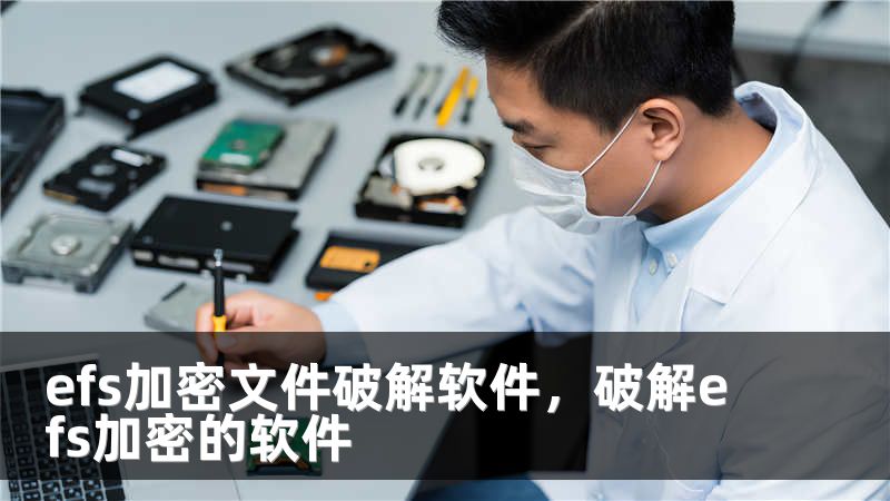 efs加密文件破解软件，破解efs加密的软件
