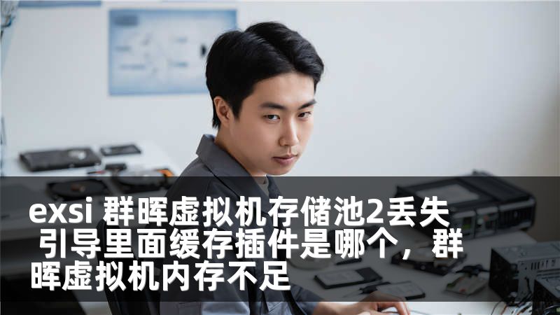 exsi 群晖虚拟机存储池2丢失 引导里面缓存插件是哪个，群晖虚拟机内存不足