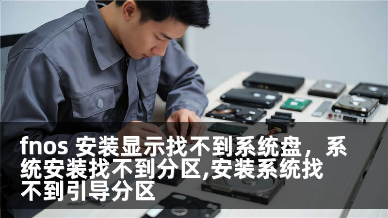 fnos 安装显示找不到系统盘，系统安装找不到分区,安装系统找不到引导分区