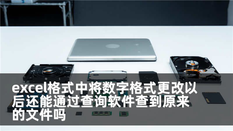 excel格式中将数字格式更改以后还能通过查询软件查到原来的文件吗