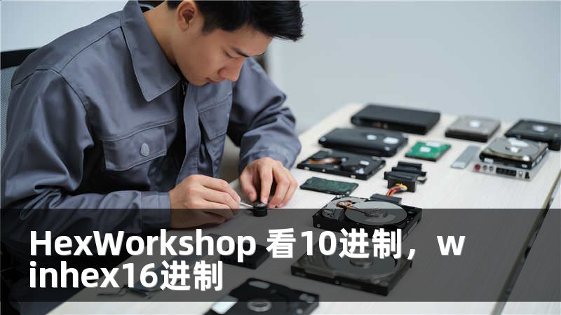 HexWorkshop 看10进制，winhex16进制