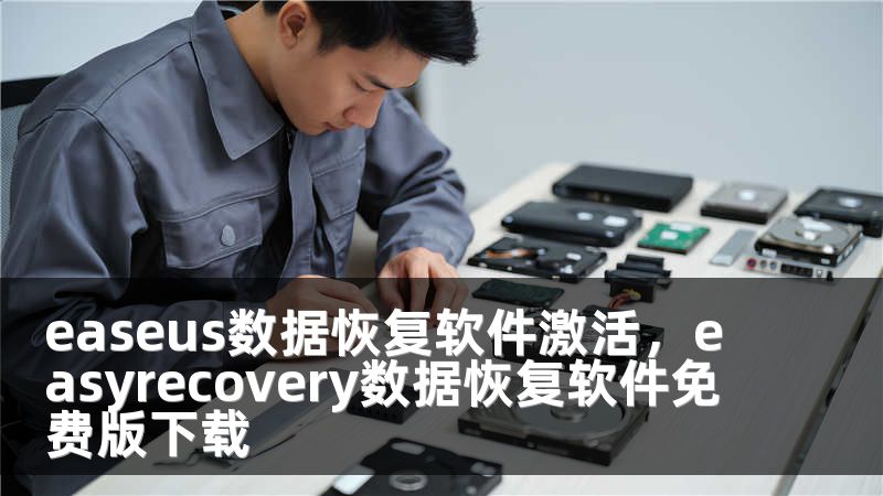 easeus数据恢复软件激活，easyrecovery数据恢复软件免费版下载