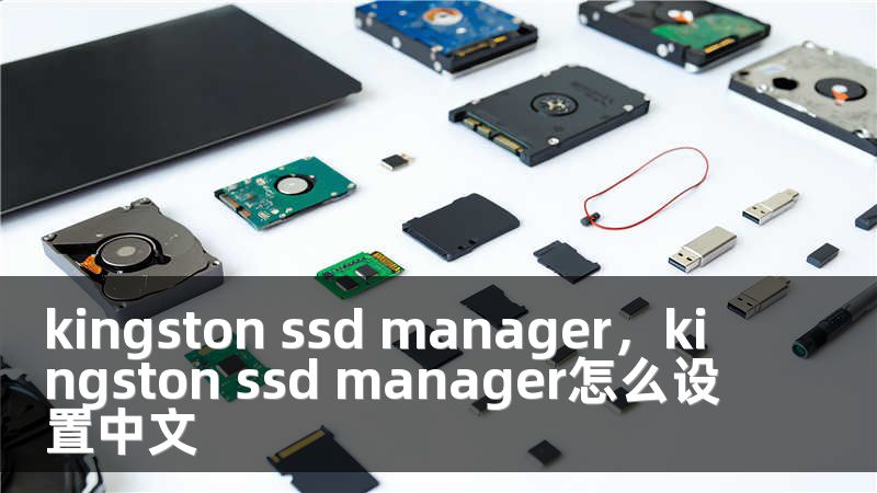 kingston ssd manager，kingston ssd manager怎么设置中文