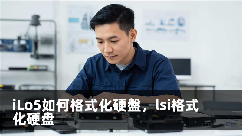 iLo5如何格式化硬盤，lsi格式化硬盘