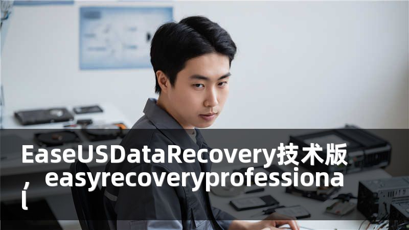 EaseUSDataRecovery技术版，easyrecoveryprofessional