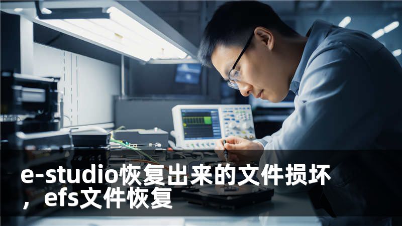 e-studio恢复出来的文件损坏，efs文件恢复