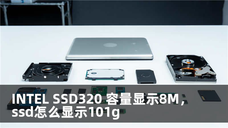 INTEL SSD320 容量显示8M，ssd怎么显示101g