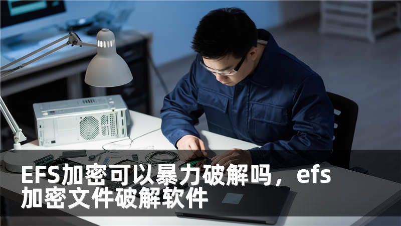 EFS加密可以暴力破解吗,efs加密文件破解软件