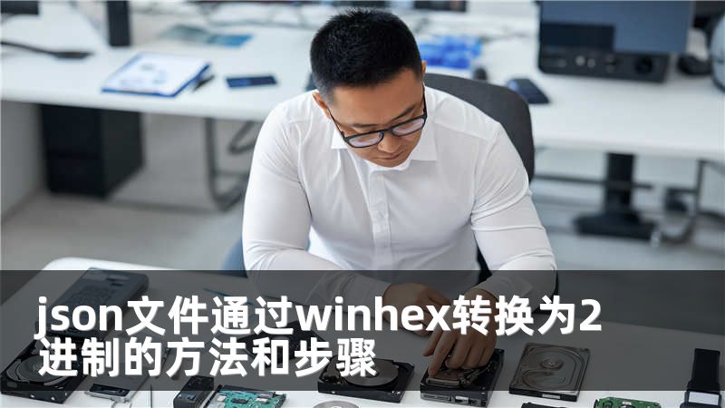 json文件通过winhex转换为2进制的方法和步骤