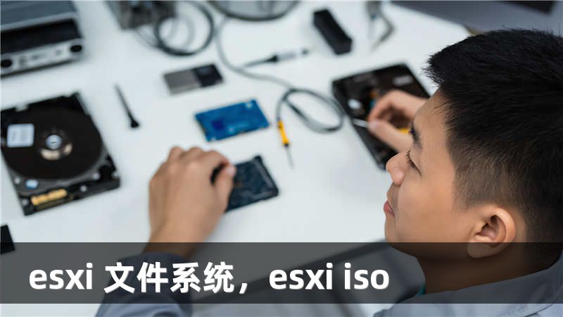 esxi 文件系统，esxi iso