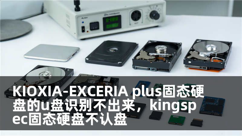 KIOXIA-EXCERIA plus固态硬盘的u盘识别不出来，kingspec固态硬盘不认盘