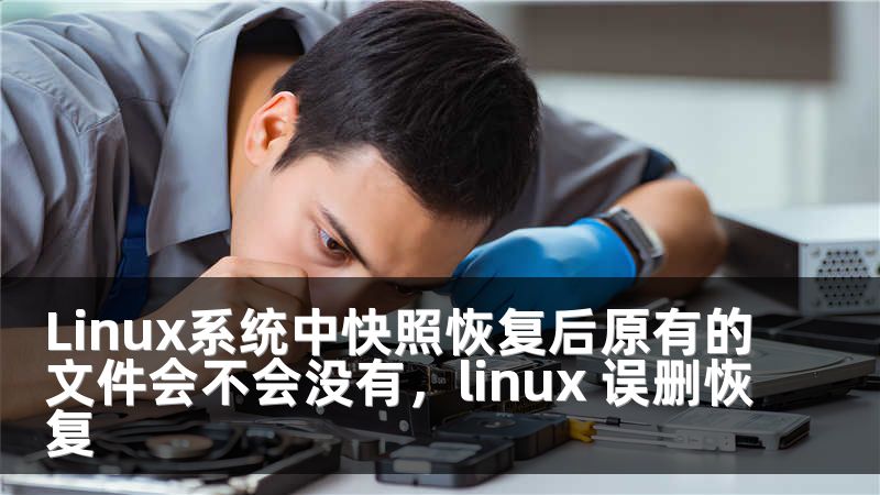 Linux系统中快照恢复后原有的文件会不会没有，linux 误删恢复