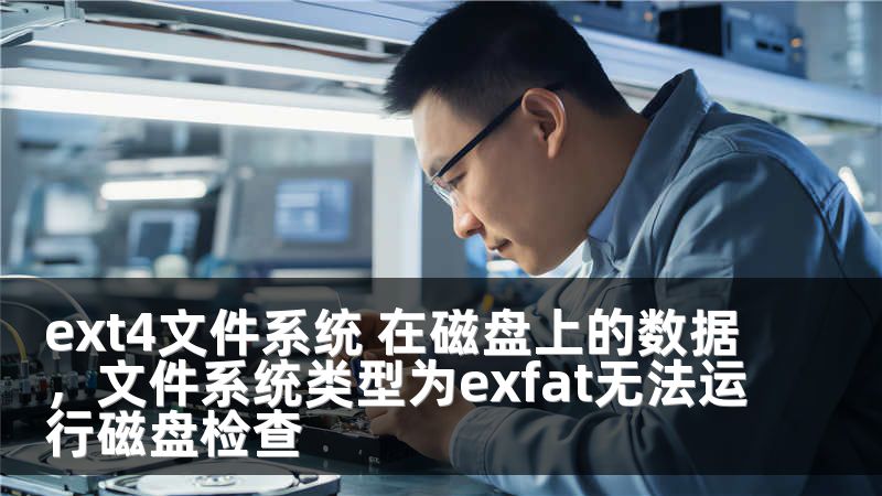 ext4文件系统 在磁盘上的数据，文件系统类型为exfat无法运行磁盘检查