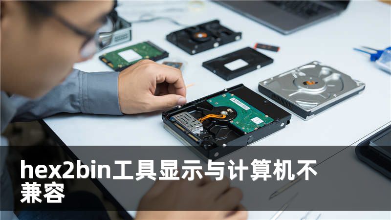 hex2bin工具显示与计算机不兼容