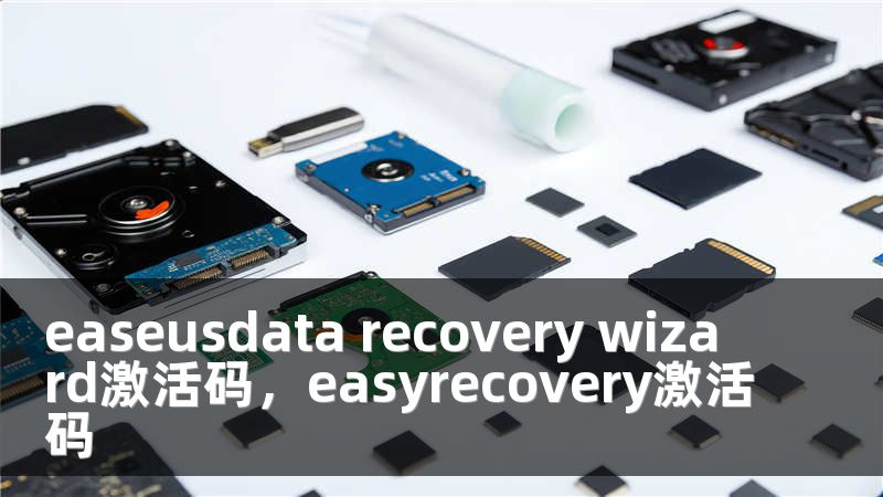 easeusdata recovery wizard激活码，easyrecovery激活码