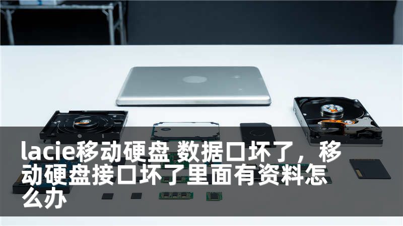 lacie移动硬盘 数据口坏了，移动硬盘接口坏了里面有资料怎么办