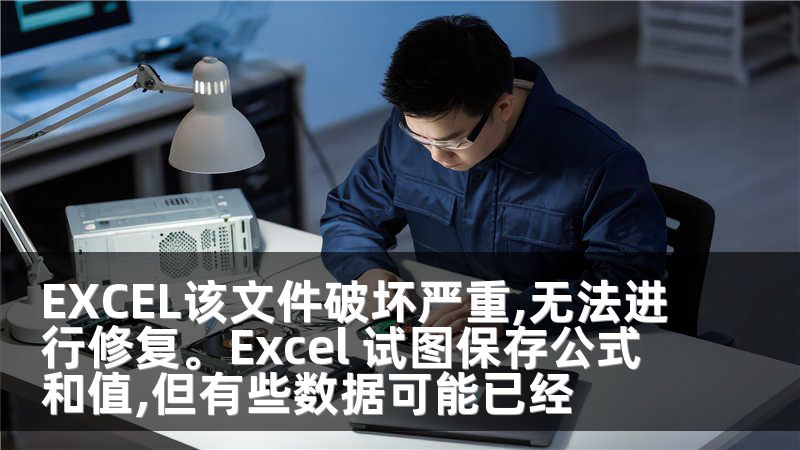 EXCEL该文件破坏严重,无法进行修复。Excel 试图保存公式和值,但有些数据可能已经