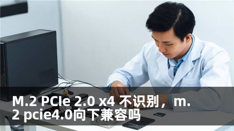 M.2 PCIe 2.0 x4 不识别，m.2 pcie4.0向下兼容吗