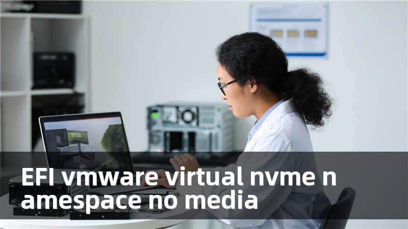 EFI vmware virtual nvme namespace no media