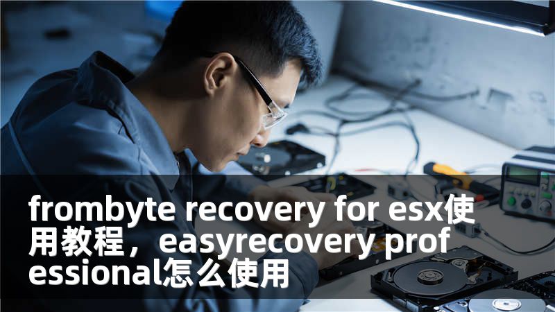 frombyte recovery for esx使用教程，easyrecovery professional怎么使用