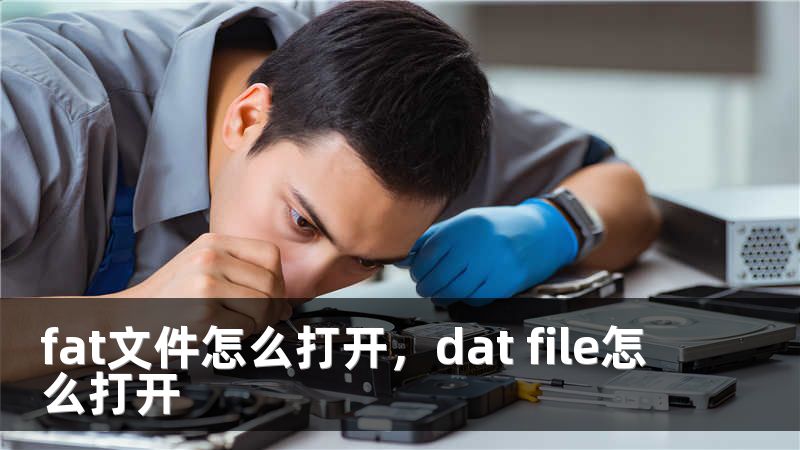 fat文件怎么打开，dat file怎么打开