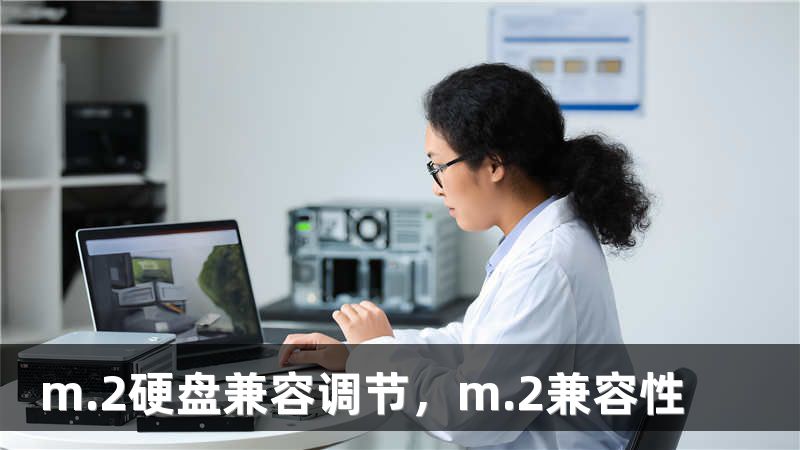 m.2硬盘兼容调节，m.2兼容性