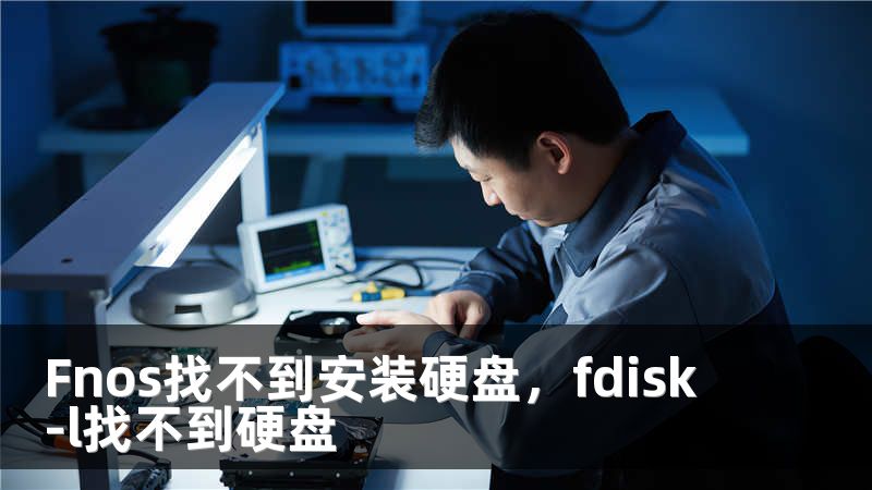 Fnos找不到安装硬盘，fdisk -l找不到硬盘
