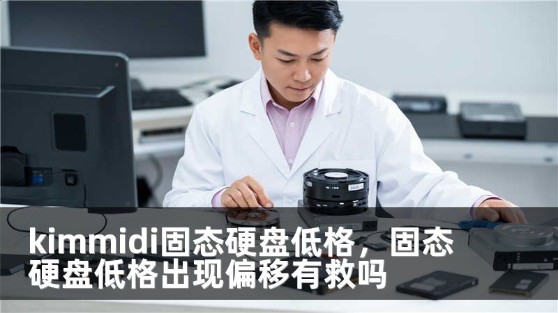 kimmidi固态硬盘低格，固态硬盘低格出现偏移有救吗